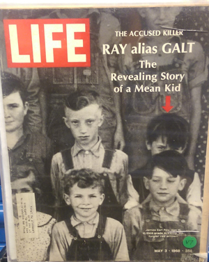 presentation-3_life-ray-cover-a