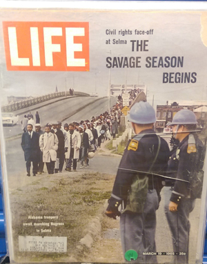 presentation-3_life-savage-season-begins-cover-a